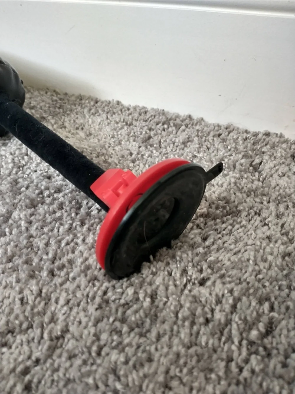 KONG Cat Toy with Catnip